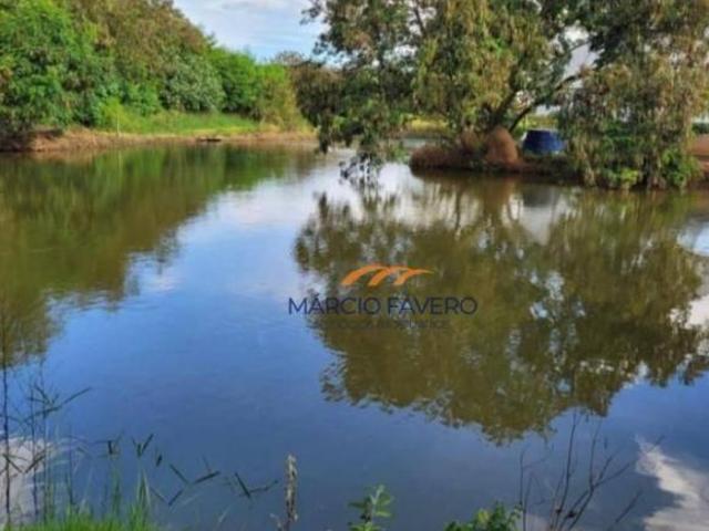 Sítio e chácara venda em Pereiras