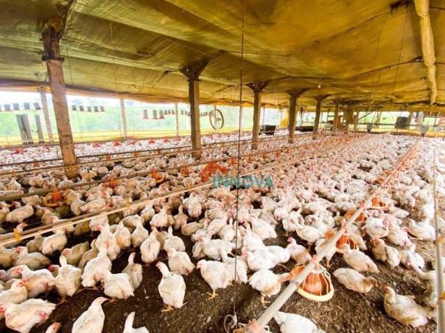 Sítio e chácara venda em Região Imediata de Piracicaba, Região Metropolitana de Piracicaba