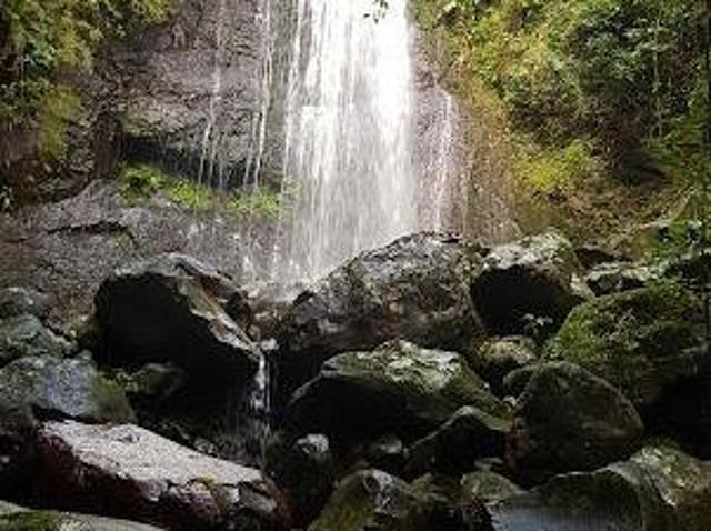 Sítio e chácara venda em Morrinhos do Sul, Região Geográfica Intermediária de Porto Alegre