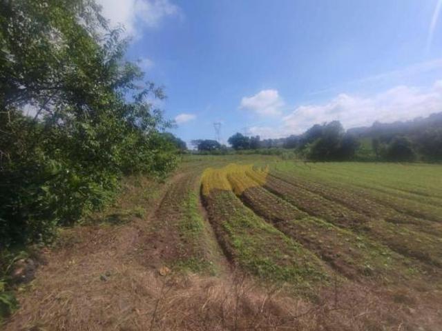 Terreno venda em Região Imediata de Rio Claro, Região Metropolitana de Piracicaba