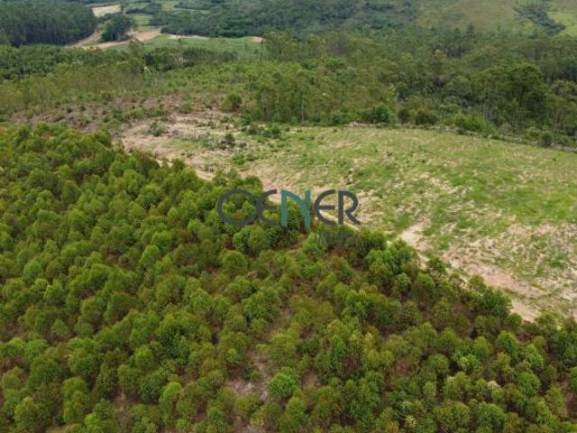 Sítio e chácara venda em Região Geográfica Imediata de Barbacena, Barbacena
