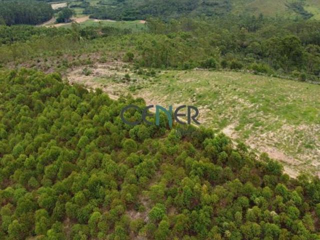 Sítio e chácara venda em Região Geográfica Imediata de Barbacena, Barbacena