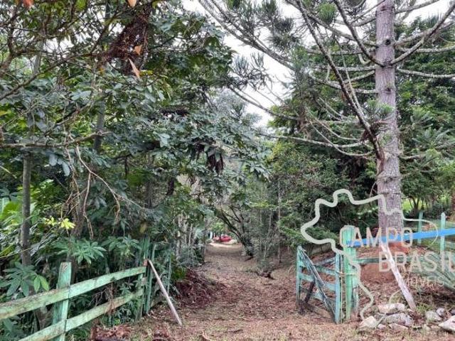 Sítio e chácara venda em Região Imediata de São José dos Campos, Região Metropolitana do Vale do Paraíba e Litoral Norte