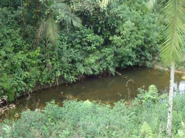 Sítio e chácara venda em Região Imediata de São Paulo, Região Metropolitana de São Paulo
