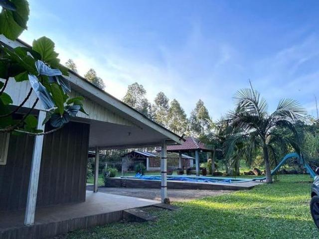 Sitio venda em Portão, Centro