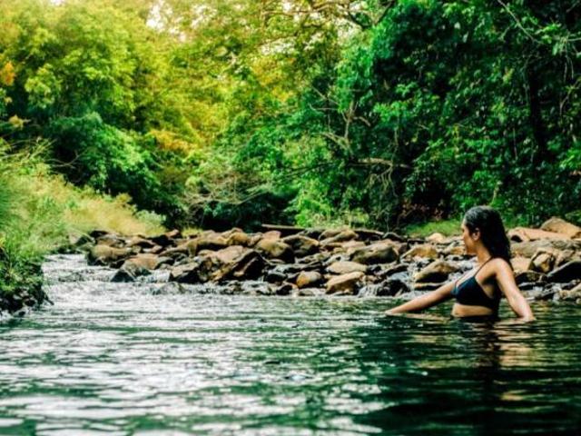 Sítio e chácara venda em Região Geográfica Imediata de Flores de Goiás, Alto Paraíso de Goiás