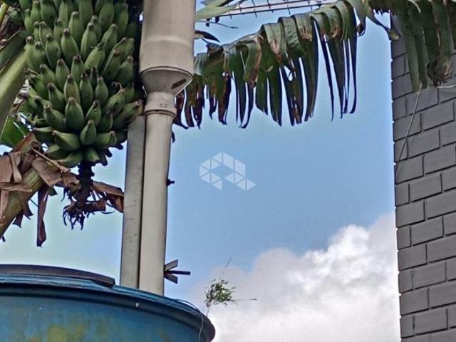 Sítio e chácara venda em Laranjeiras, Osório