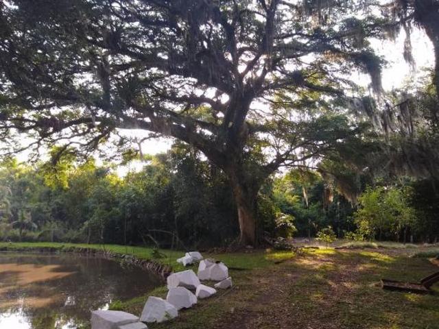Sítio e chácara venda em Região Geográfica Imediata de Taquara - Parobé - Igrejinha, Região Metropolitana de Porto Alegre