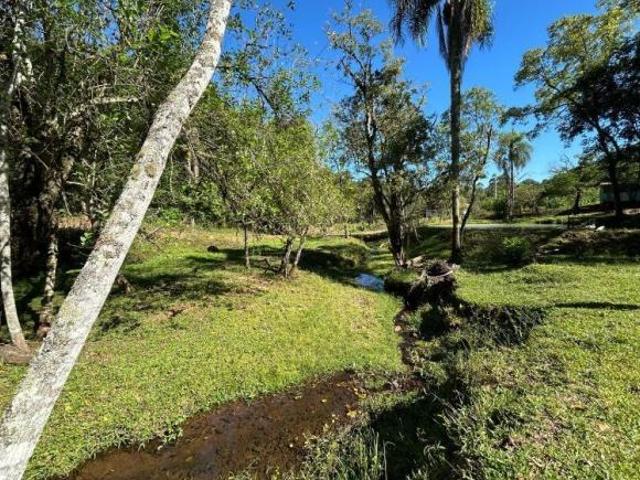 Sitio venda em Portão, Macaco Branco