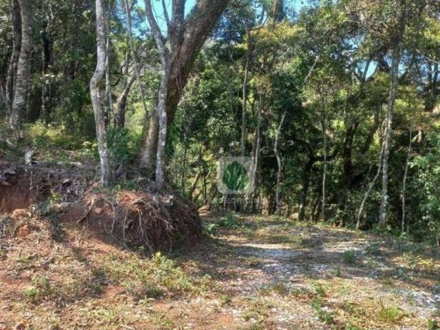 Sítio e chácara venda em Região Geográfica Imediata de Itajubá, Região Sudeste