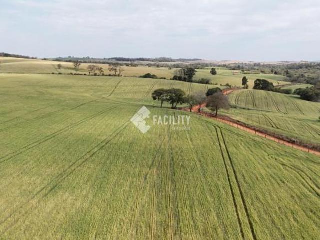 Sítio e chácara venda em Itapetininga