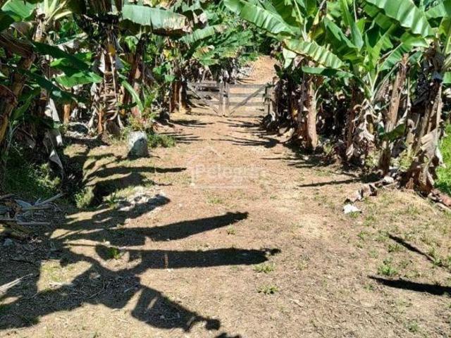 Sítio e chácara venda em Miracatu