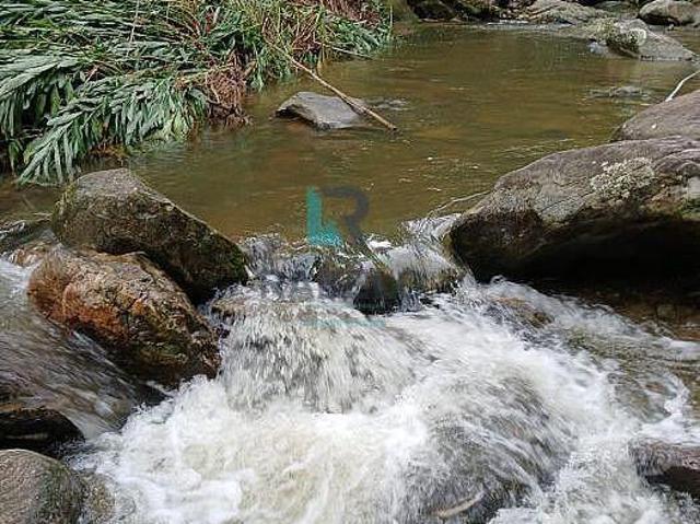Sítio e chácara venda em Região Imediata de Cruzeiro, Região Metropolitana do Vale do Paraíba e Litoral Norte