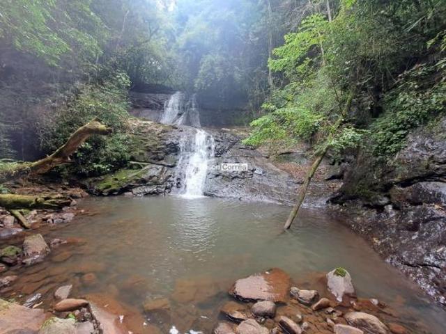 Sítio e chácara venda em Região Geográfica Imediata de Caxias do Sul, São Francisco de Paula