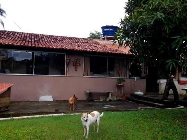 Sítio e chácara venda em Piracema