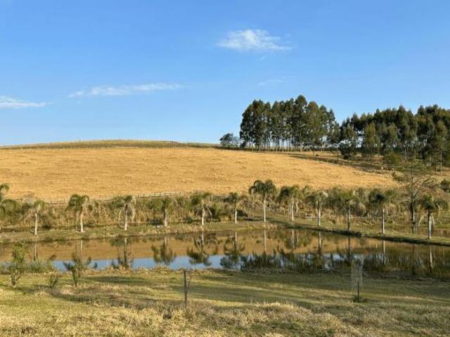 Sítio e chácara venda em Região Geográfica Imediata de Novo Hamburgo - São Leopoldo, Região Metropolitana de Porto Alegre