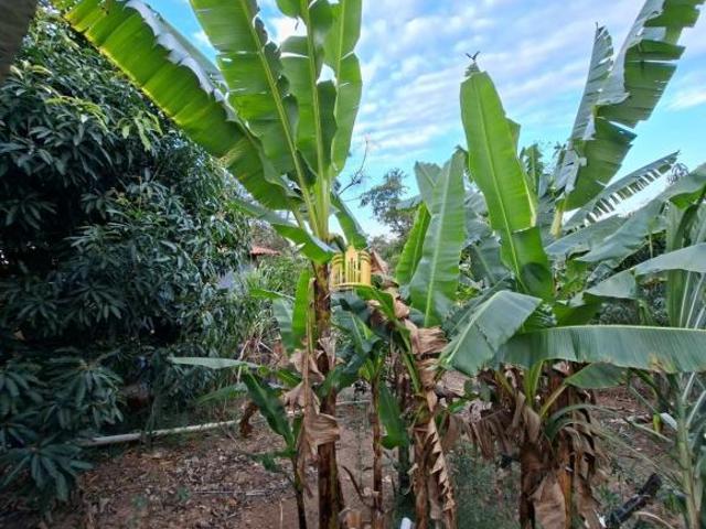 Sítio e chácara venda em Vargem das Flores, Contagem