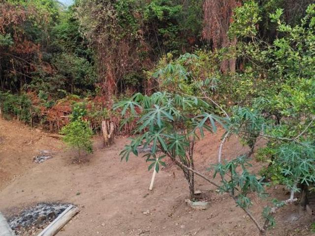 Sítio e chácara venda em Centro, Esmeraldas
