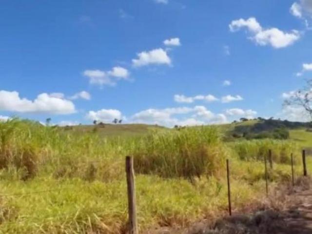 Sítio e chácara venda em Região Geográfica Imediata de Londrina, Assaí