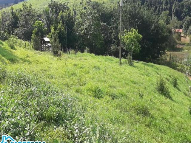 Sítio e chácara venda em Região Geográfica Imediata de Ipatinga, Belo Oriente