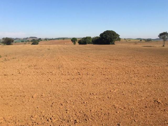 Sitio venda em Quadra