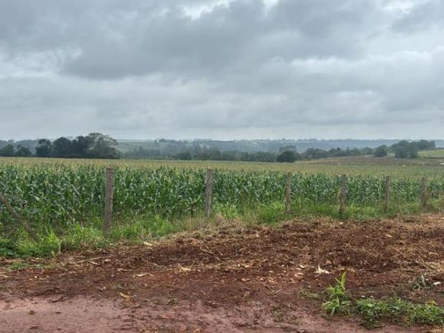 Sitio venda em Quadra