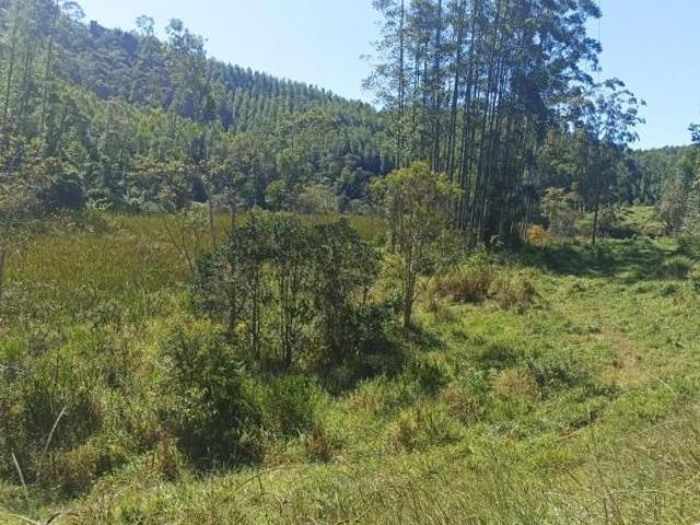 Sítio e chácara venda em Região Imediata de São José dos Campos, Região Metropolitana do Vale do Paraíba e Litoral Norte