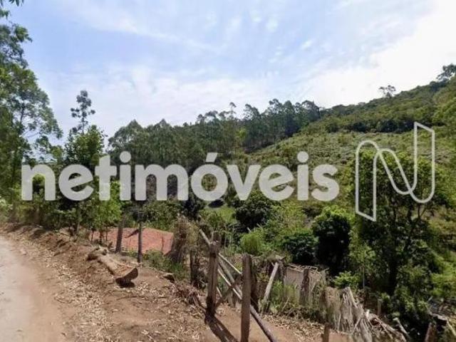 Sítio e chácara venda em Região Geográfica Imediata de Teófilo Otoni, Novo Cruzeiro