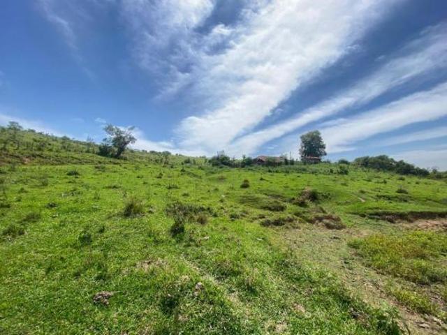 Sítio e chácara venda em Região Imediata de Itapetininga, Guareí