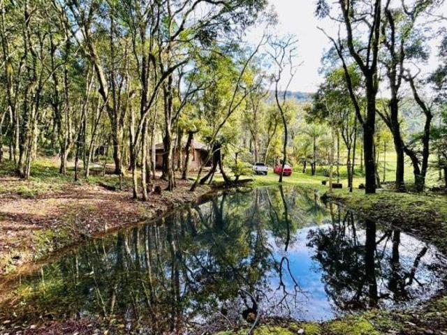Sítio e chácara venda em Região Geográfica Imediata de Novo Hamburgo - São Leopoldo, Morro Reuter