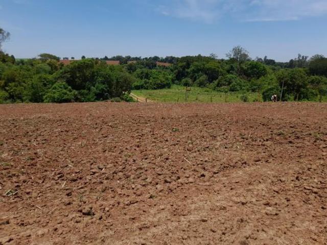 Sítio e chácara venda em Centro, Cesario Lange