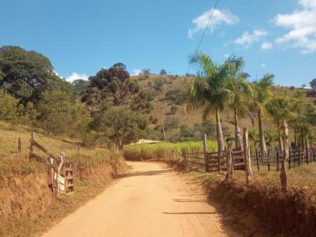 Sítio e chácara venda em Região Geográfica Imediata de São Lourenço, Virgínia