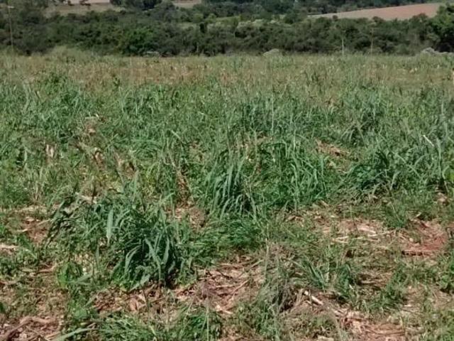 Sítio e chácara venda em Região Imediata de Limeira, Região Metropolitana de Campinas