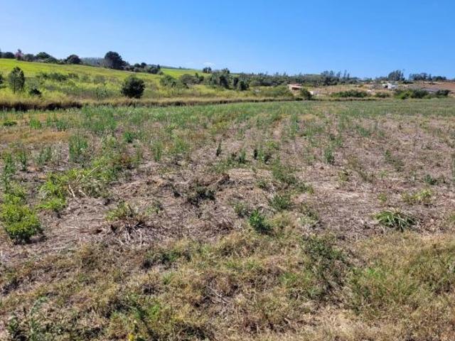 Sítio e chácara venda em Região Imediata de Campinas, Região Metropolitana de Campinas