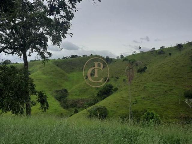 Sítio e chácara venda em Região Imediata de Itapeva, Ribeirão Branco