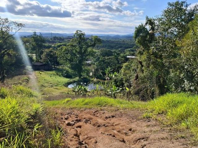 Sítio e chácara venda em Sete Barras