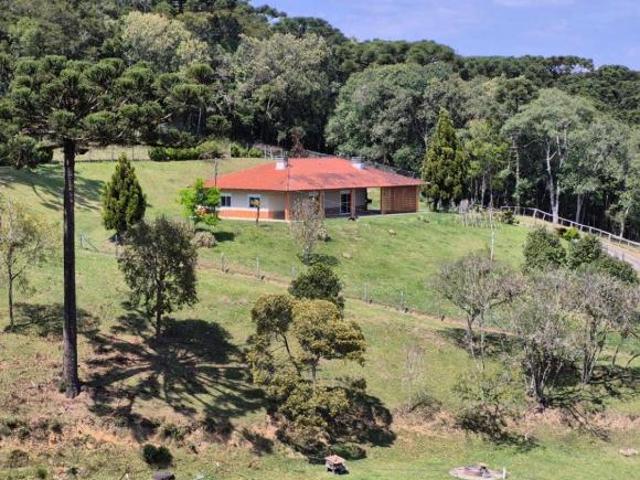 Sítio e chácara venda em Região Geográfica Imediata de Curitiba, Região Metropolitana de Curitiba
