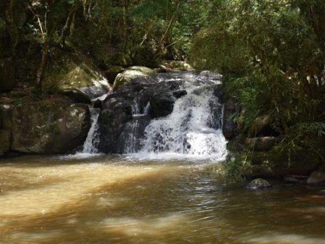 Sítio e chácara venda em Região Geográfica Imediata de Curitiba, Região Metropolitana de Curitiba