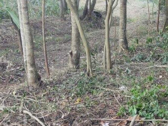 Sítio e chácara venda em Região Imediata de Bauru, Agudos