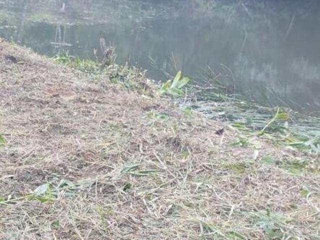 Sítio e chácara venda em Região Imediata de Bauru, Agudos