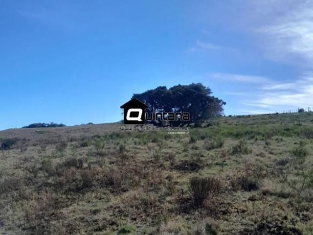 Sítio e chácara venda em Região Geográfica Imediata de São Gabriel - Caçapava do Sul, Santana da Boa Vista