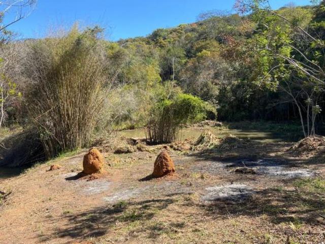 Sítio e chácara venda em Pedra Branca, Caeté
