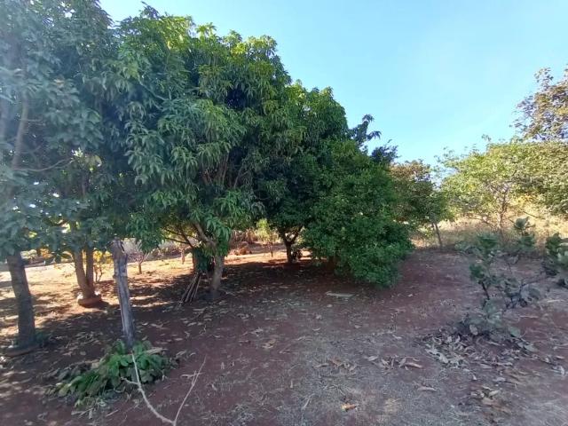 Fazenda venda em Região Geográfica Imediata de Águas Lindas de Goiás, Região Integrada de Desenvolvimento do Distrito Federal e Entorno