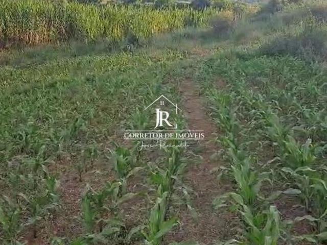 Sítio e chácara venda em Centro, Alfenas