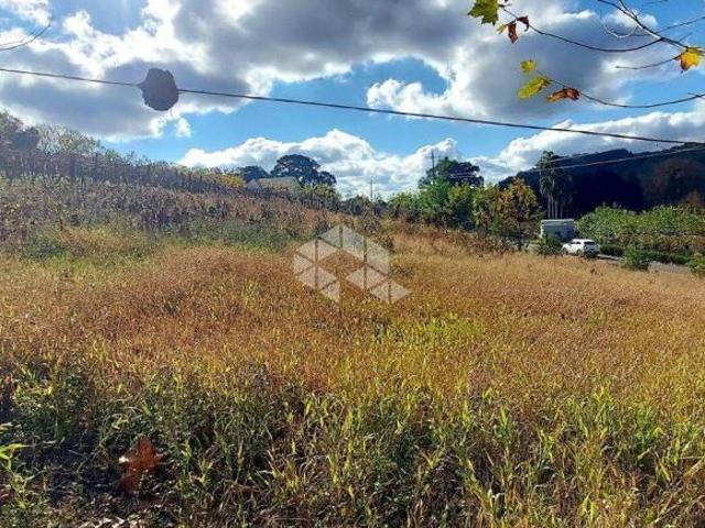 Sítio e chácara venda em Região Geográfica Imediata de Bento Gonçalves, Carlos Barbosa