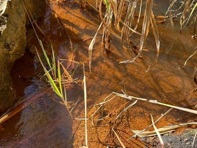 Sítio e chácara venda em Cambuí Country Park, Aguanil
