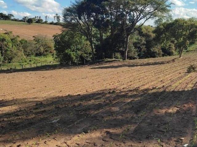 Sítio e chácara venda em Região Geográfica Imediata de Conselheiro Lafaiete, Desterro de Entre Rios