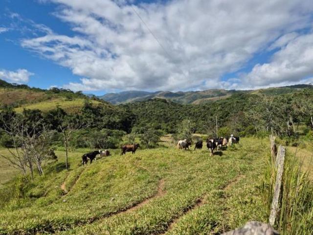 Sítio e chácara venda em Região Imediata de São Paulo, Região Metropolitana de São Paulo
