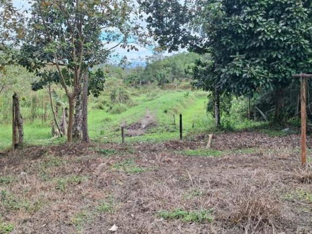 Sítio e chácara venda em Região Imediata de Registro, Sete Barras