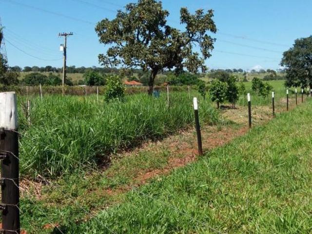 Sítio e chácara venda em Iturama, Região Geográfica Intermediária de Uberaba